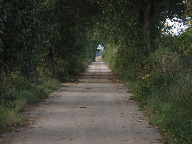 ZASRANA HANACKA ROVINA.JPG