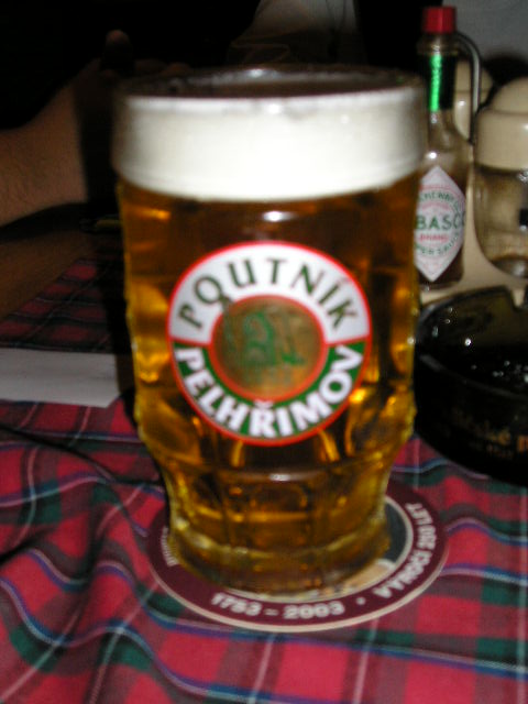 P1010029.jpg