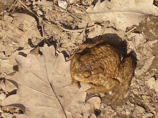 P1020377.JPG