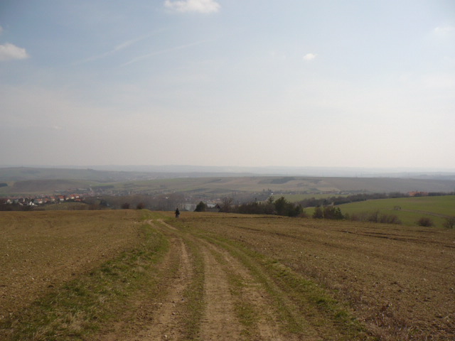 P1020403.JPG