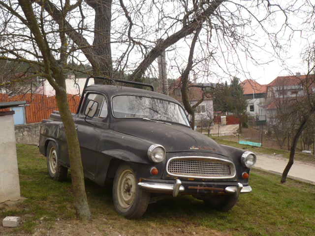 P1020419.JPG