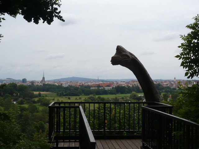 P1020920