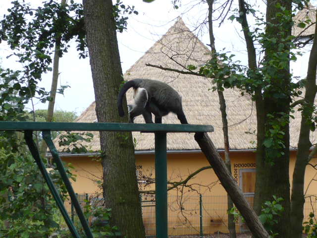 P1020930