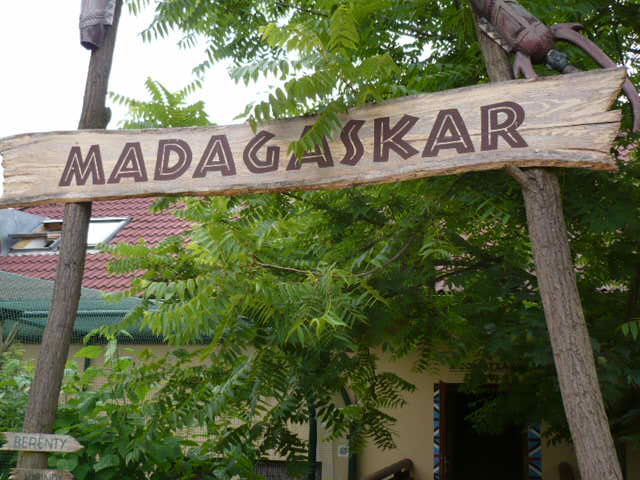 P1020932