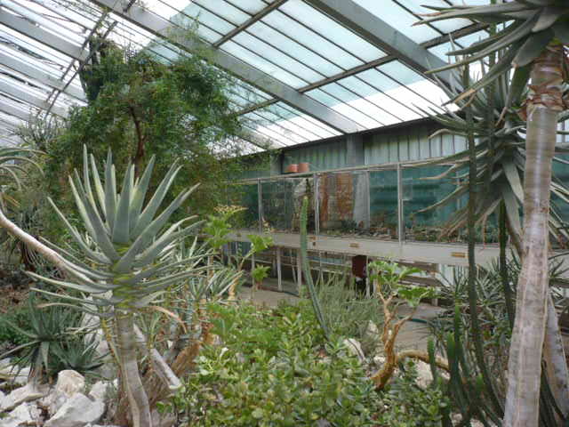 P1020952
