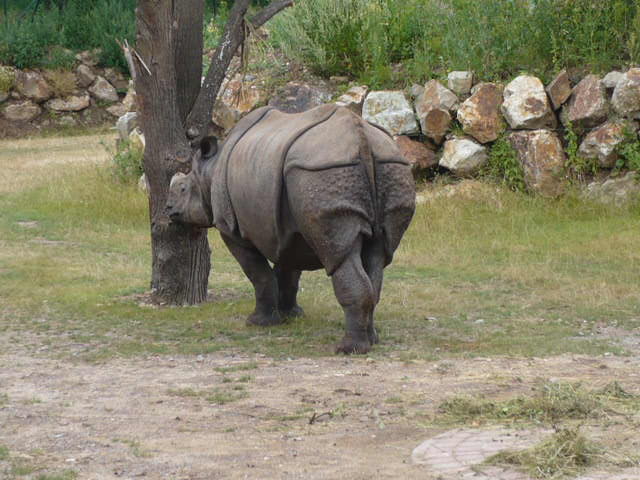 P1020975