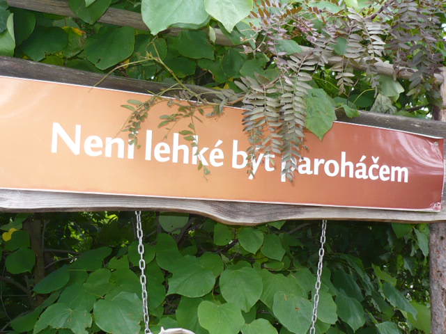 P1020999