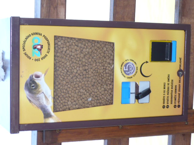 P1030156