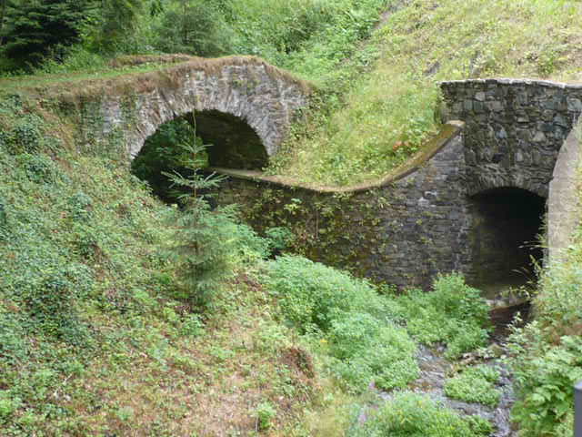 P1030226