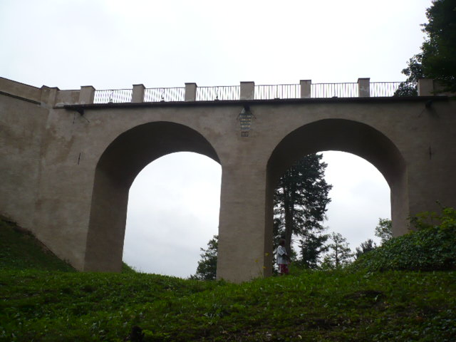 P1030235